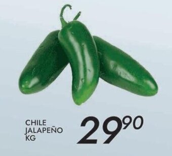 Chile Jalapeño kg