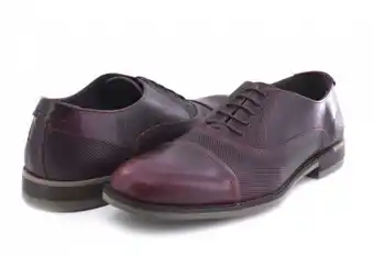 Fabian arenas 203-a lady brandy 25-30