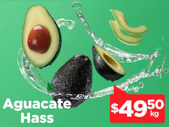 Aguacate Hass