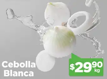 Cebolla Blanca