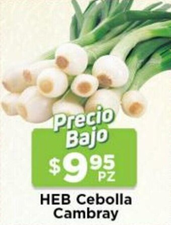 HEB Heb Cebolla Cambray oferta