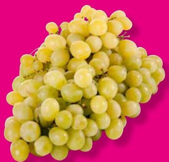 Uva Blanca Sin Semilla