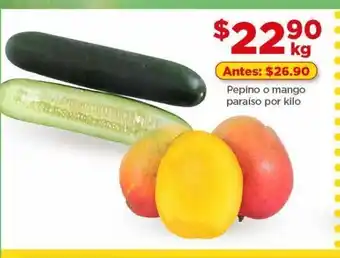 Pepino o mango paraíso por kilo