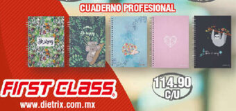 DelSol Cuaderno Profesional oferta