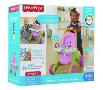 Primeros pasos fisher price fwv85