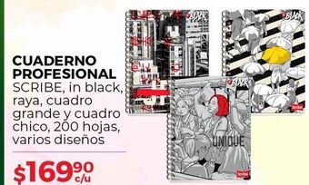 Cuaderno profesional