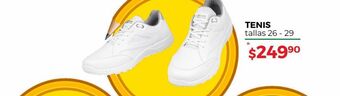 Tenis