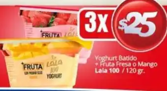 Yoghurt Batido + Fruta Fresa o Mango Lala 100/120gr