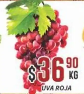 Super Gutiérrez UVA ROJA oferta
