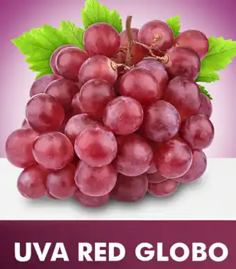 Uva Red Globo