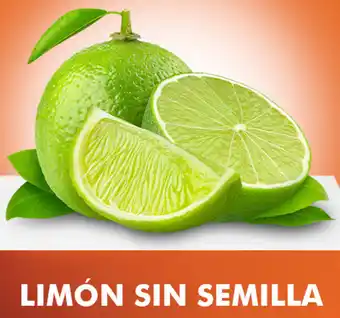 Limón sin Semilla