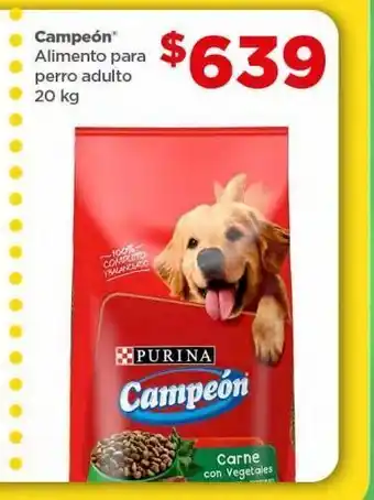 Alimento para perro adulto 20 kg campeón