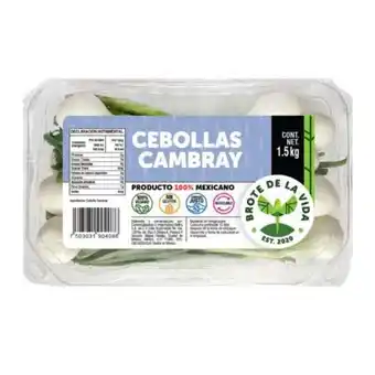 Cebolla cambray brote de la vida 1.5 kg