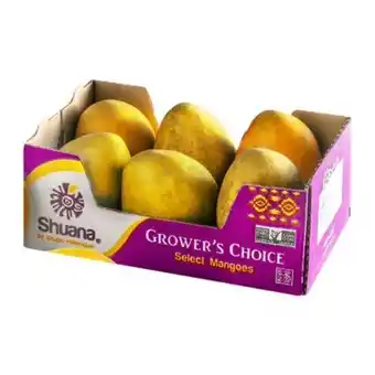 Mango paraíso 6 pzas