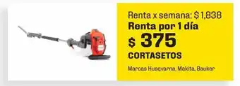 Sodimac Homecenter Cortasetos oferta