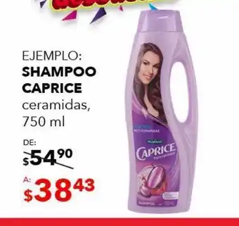 DelSol Shampoo caprice ceramidas 750ml oferta
