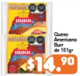 Queso Americano Burr de 151g