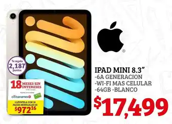 Ipad Mini 8.3" 6A Generacion 64GB