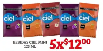 Bebidas Ciel Mini 5 x 125ml