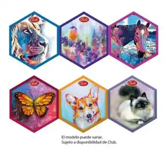 Sam's Club Galletas gabi bimbo pack 6 piezas de 300 g c/u oferta