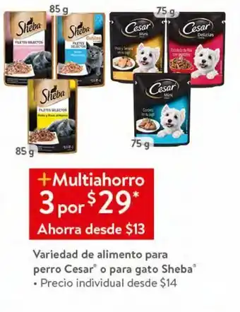 Walmart Alimento para perro cesar o para gato sheba oferta