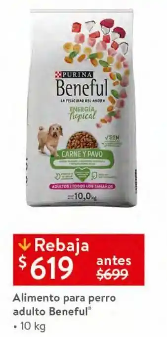 Walmart Alimento para perro adulto beneful 10kg oferta