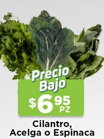 HEB Cilantro, Acelga o Espinaca oferta