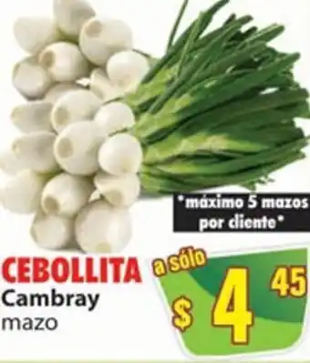 Cebollita Cambray Mazo