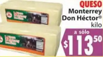 Queso Monterrey Don Héctor