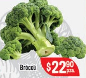 El Florido Brócoli oferta