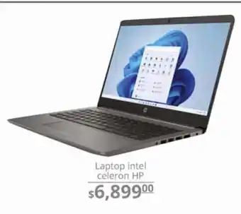 Laptop intel celeron hp