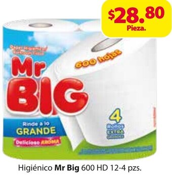 Zorro Higiénico Mr Big 600 HD 12-4 pzs oferta