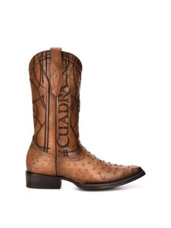 Cuadra Bota cuadra de piel de avestruz oferta