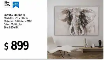 Canvas cara elefante 120 x 80 cm