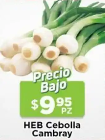 HEB HEB Cebolla Cambray oferta