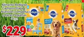 Alimento Pedigree Cachorro Etapa 1, Nutrición Complete o Razas Pequeñas 4kg