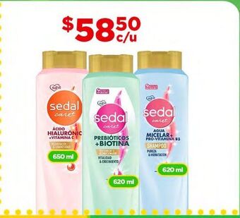 Shampoo sedal 620ml