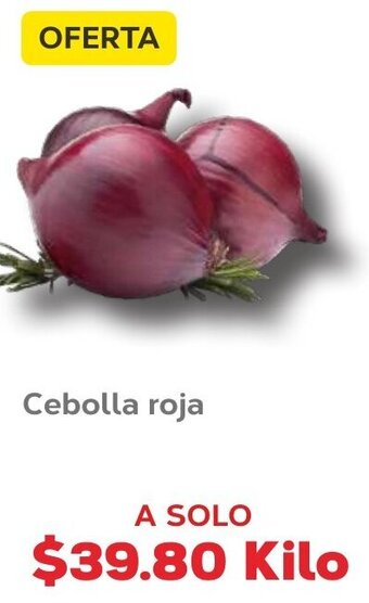Super Aki Cebolla Roja oferta