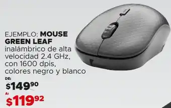 Woolworth Mouse Green Leaf oferta