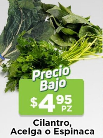 HEB Cilantro Acelga o Espinaca oferta
