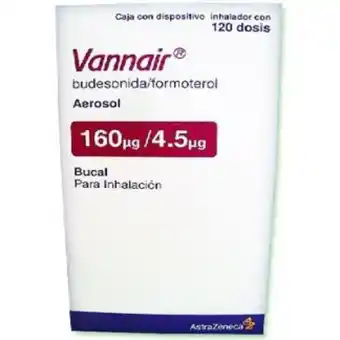 Vannair 160/4.5mg aer