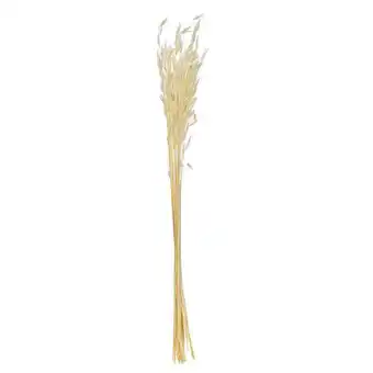 Ramo de avena 1pz
