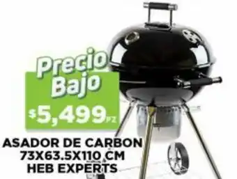 Asador de Carbon 73x63,5x110cm Heb Experts