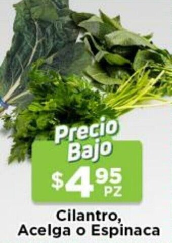 HEB Cilantro Acelga o Espinaca oferta