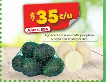 Aguacate hass en malla pz
