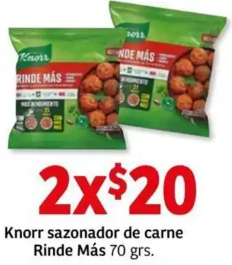Knorr Sazonador de Carne Rinde Más 70g