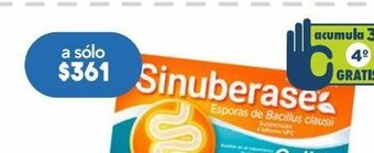 Farmacia San Pablo Sinuberase suspensión en ampolletas de 5ml cada una 20 piezas oferta