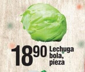 Lechuga bola pieza