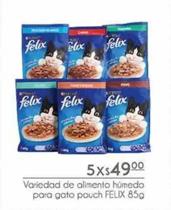 Variedad de alimento humedo para gato pouch felix