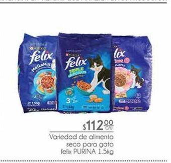 Alimento seco para gato